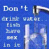 Fishy No