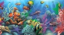 fishradio