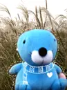 BLUE SEAL