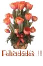 felicidades