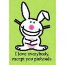 Pinhead
