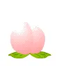 peach