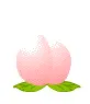 peach