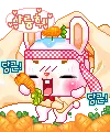stupid bunny
