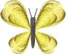 Yellow Butterfly