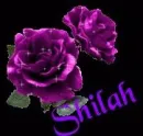 name