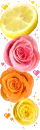 roses