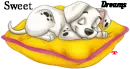 sweet dreams