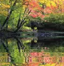 nature - lake