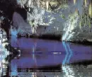 nature 1