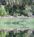 nature 2