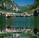 nature 3