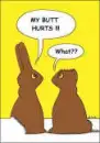 chocolate bunnies