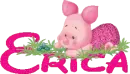 Erica