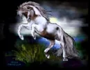 Horse By The Lake