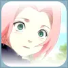 sakura-chan