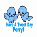 Perry - Tweet Day