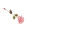 Rose Pen Red - Meira