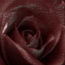 bloody black rose