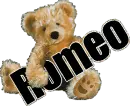 Romeo Bear