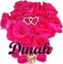 Dinah (pink roses)