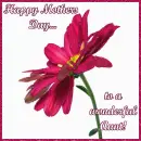 Happy Mothers Day to a wonderful Aunt!