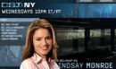 CSI:NY