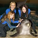 Miley, Noah, and Tish
