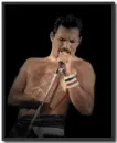 Freddy Mercury Queen