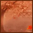 fall