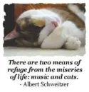 Music and cats