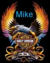 Harley Davidson