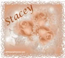 Peach roses- Stacey