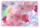 i love spring