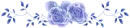 blue roses