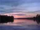 Perfect