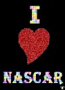 I LOVE NASCAR