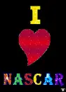 I LOVE NASCAR