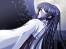 Moonlit Night