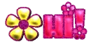 hi