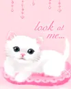 cute kitty