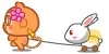 yoci bunny