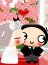 pucca wedding