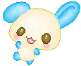 bunny