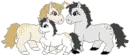 horse family
