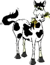 horse eating