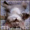 The Life