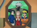 team7