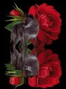 rose and wolf