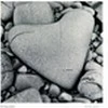 stone love